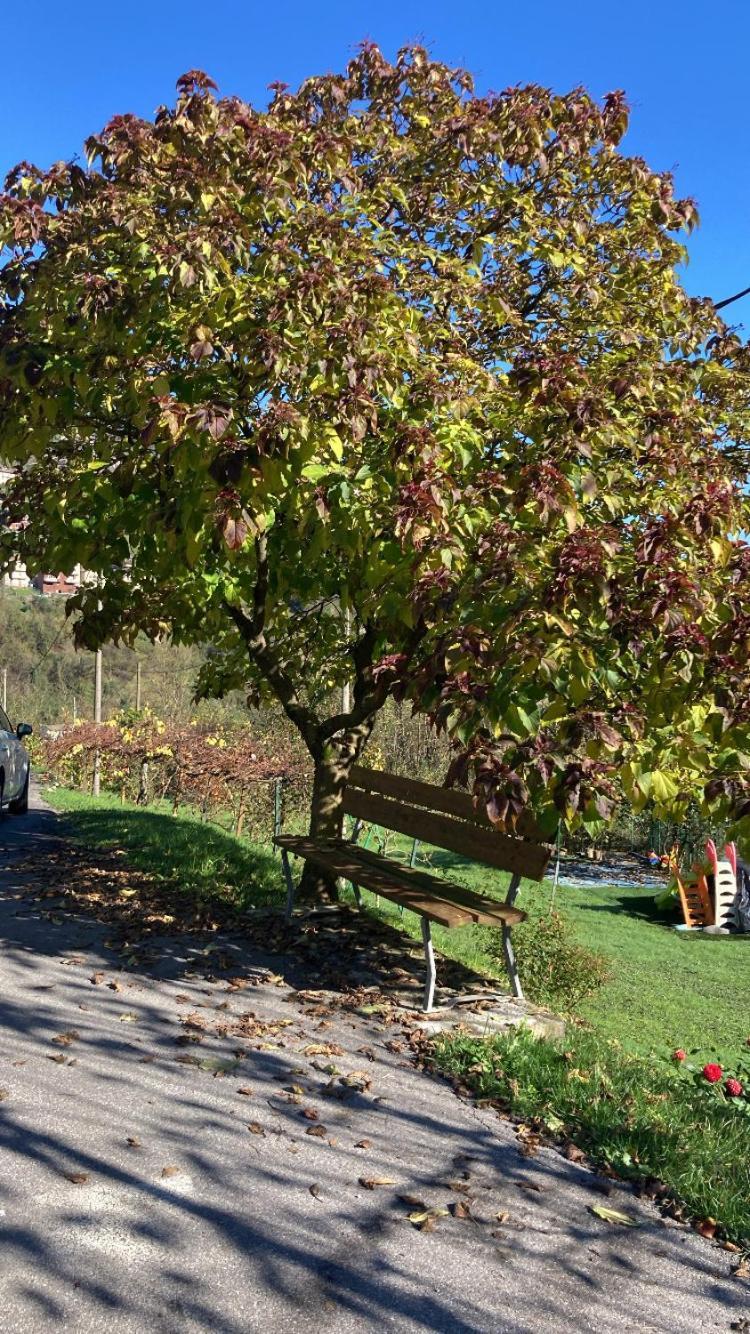 Cascina Uertigher Gorno Экстерьер фото